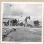 swim2_1964.jpg