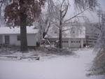 Front Yard after We Picked Up